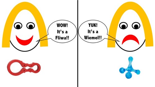 Simplified Diagram of Our Experiment. Which word will the children learn better? Fliwa or Wiemel?