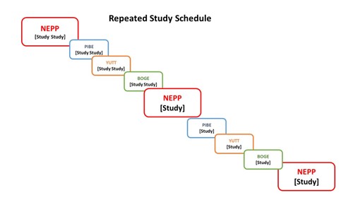 Repeated Study Schedule